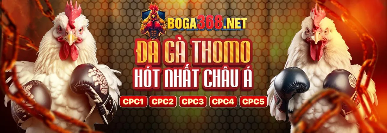 Hình ảnh đại diện cho chơi có trách nhiệm, an toàn và kiểm soát tại tik88 hiện đang mở